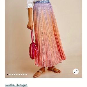 Beautiful and unique Anthropologie Dawn Maxi Skirt